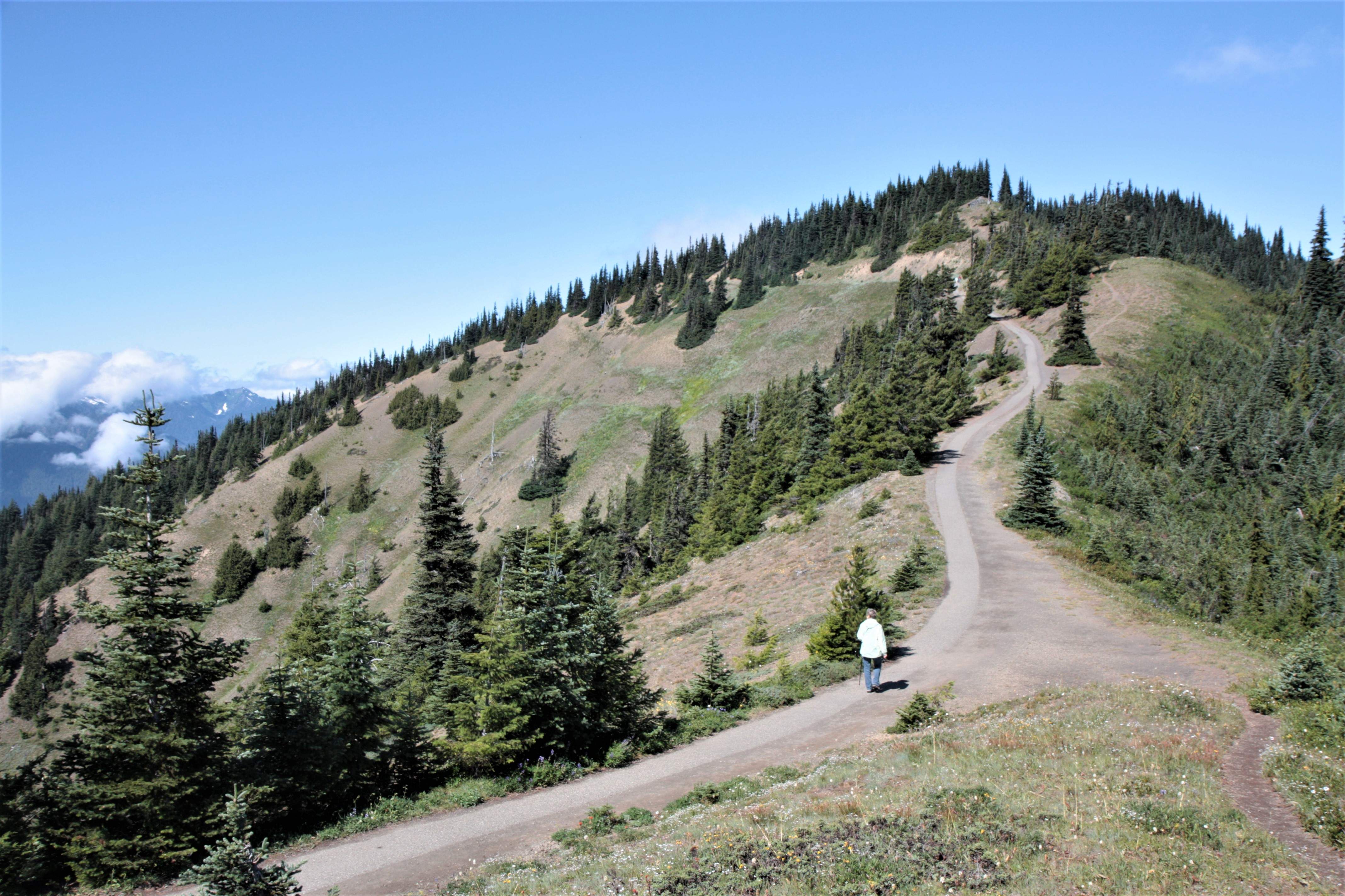 Olympic NP